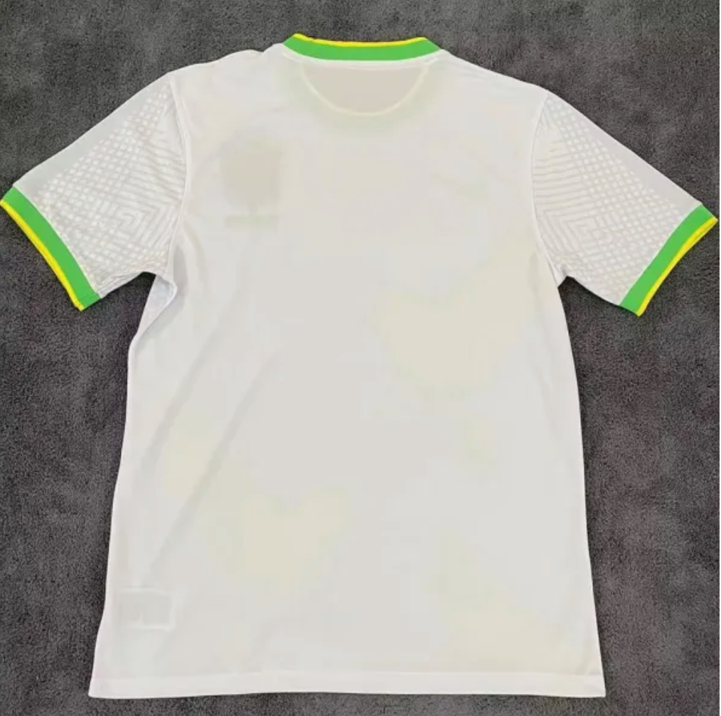 Maillot Brésil Edition Spéciale  2022-2023